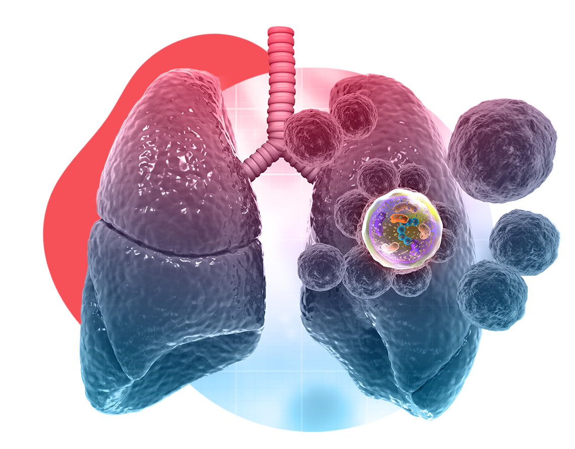 eLearning Design and Production